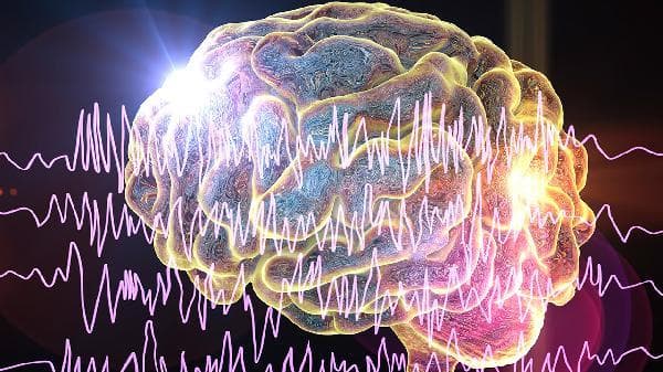 海马体记忆法训练方法：30种科学记忆提升技巧