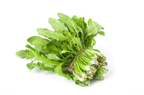 荠菜可以治疗肾炎吗