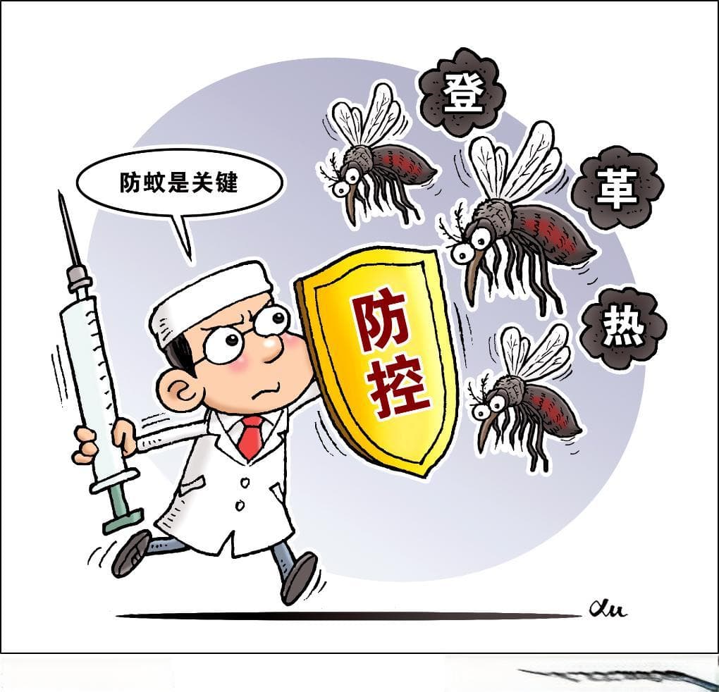 国际旅行警惕登革热：海关发布最新防控公告