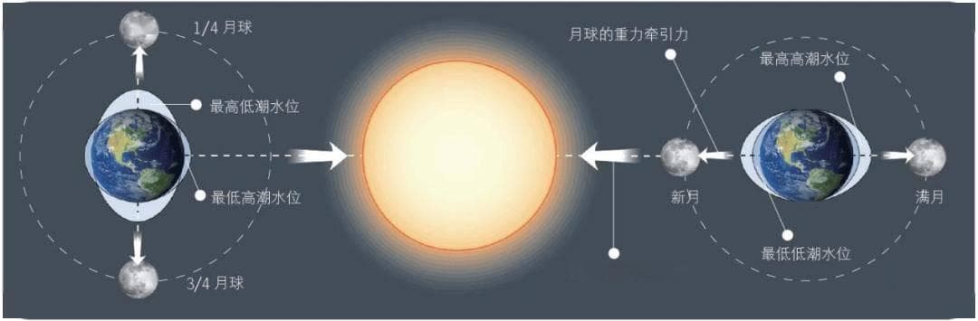 海洋科普：潮汐的奥秘