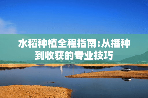 水稻种植全程指南：从播种到收获的专业技巧