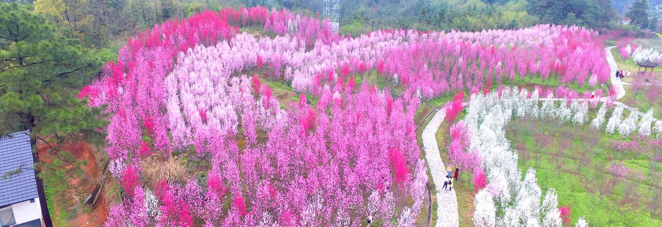 中国桃花源：陶渊明笔下的世外桃源