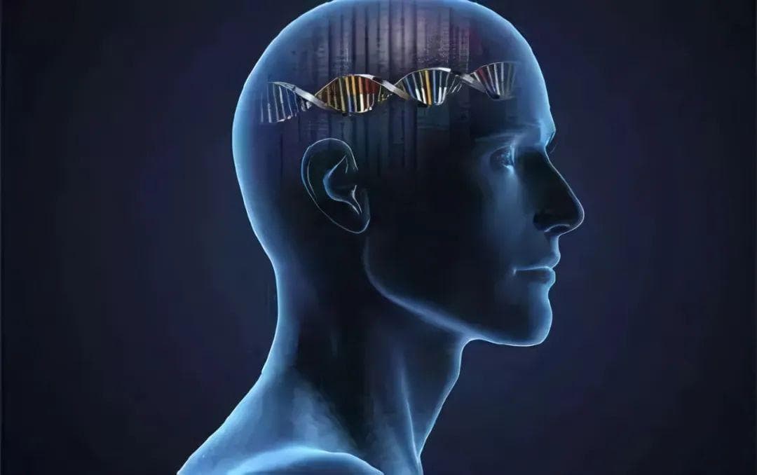 胶质母细胞瘤最新靶向治疗策略：复旦大学团队揭示关键分子机制