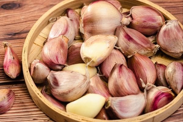 野蒜的功效与作用、禁忌和食用方法