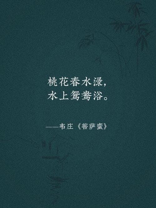 桃花在古诗词中的意象与象征：从《诗经》到唐诗宋词