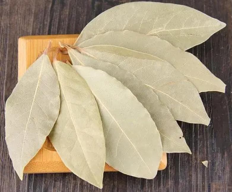 炖羊肉时，只放胡椒就“废了”，记住4个香料，汤白肉嫩没膻味