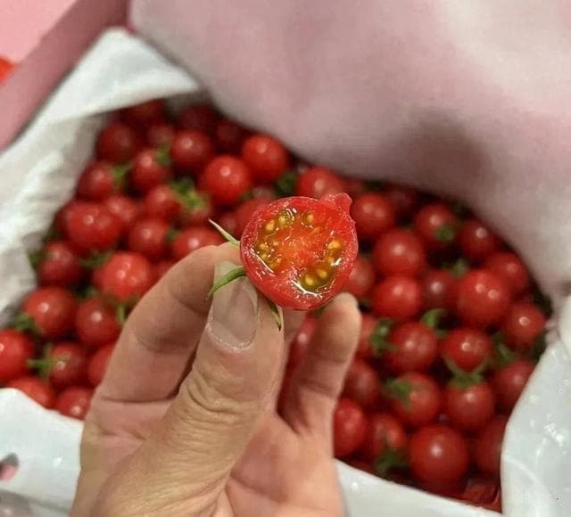 火出圈的“电白千禧”