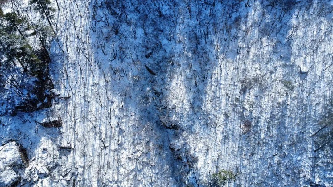车都停满了，凌晨大批杭州人往这赶！最强雨雪来袭，重要提醒请收好