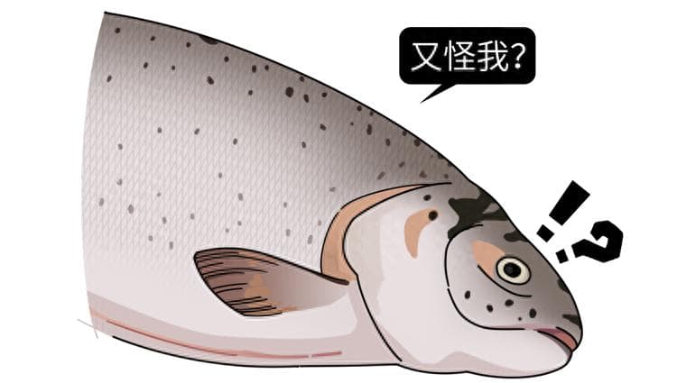 4种鱼已被列入“致癌名单”，吃多了癌症找上门