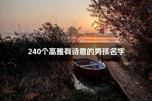 240个高雅有诗意的男孩名字