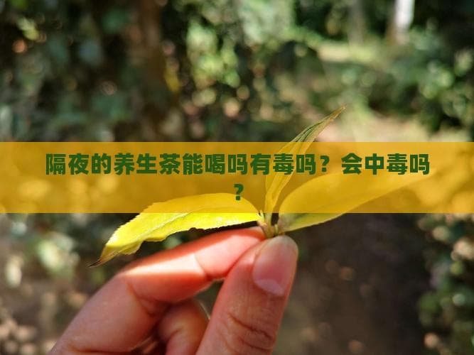 隔夜的养生茶能喝吗？安全吗？会中毒吗？