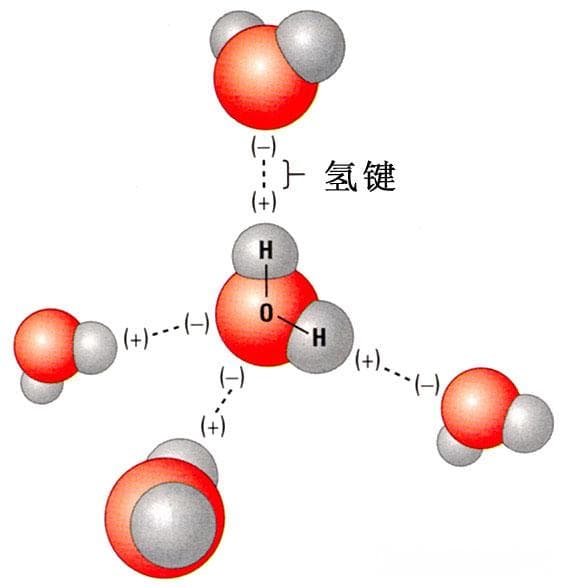 HF分子间氢键比水分子间氢键强，为什么水的沸点比HF高？