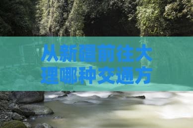 从新疆前往大理哪种交通方式更便捷？