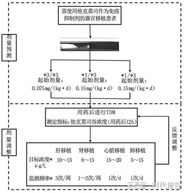 他克莫司基因检测和血药浓度监测，精准监测疗效、精准预防药物不良反应