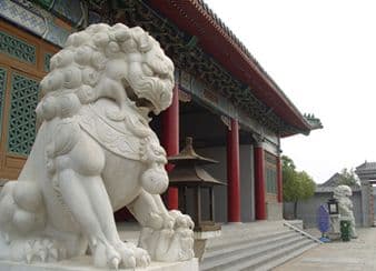 涨知识｜中国本土不产狮子，为什么遍地都是守大门的石狮子？