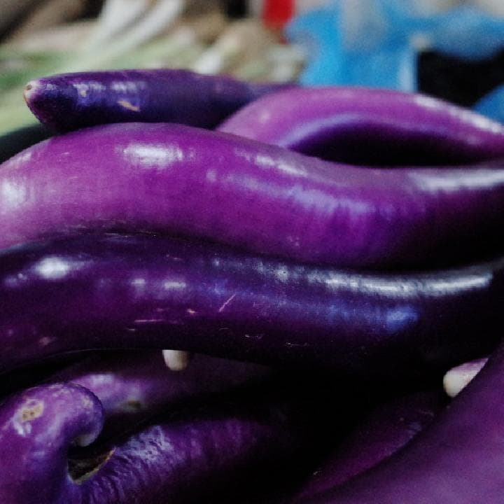 茄子冷冻后还能吃吗？专家解析蔬菜储存温度与安全食用指南