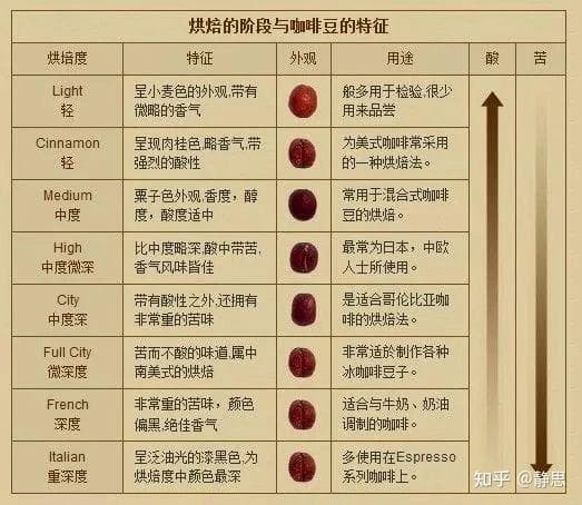 咖啡知识：从种类到风味的全面指南