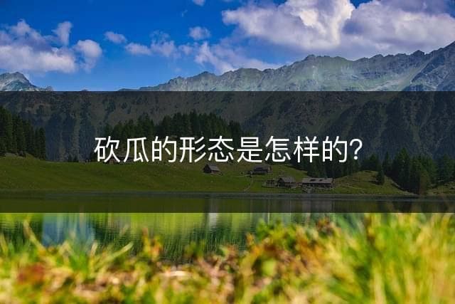 砍瓜的形态特征与种植要点