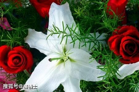 诗化小说及其特点