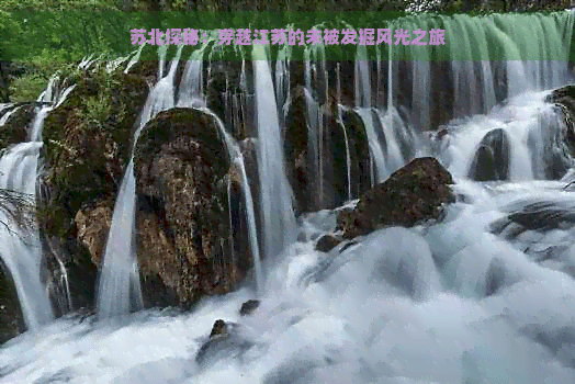 苏北探秘：穿越江苏的未被发掘风光之旅