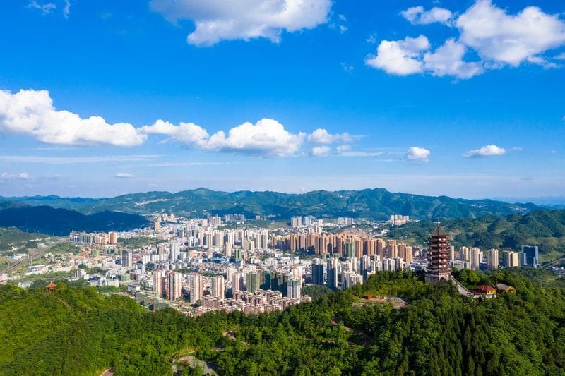 遵义习水：生态建设见成效，林下经济年产值达6.5亿