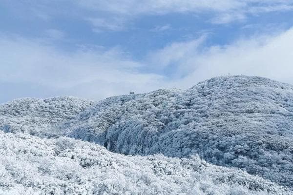 重庆赏雪攻略：仙女山等9地已飘雪，部分景区免费