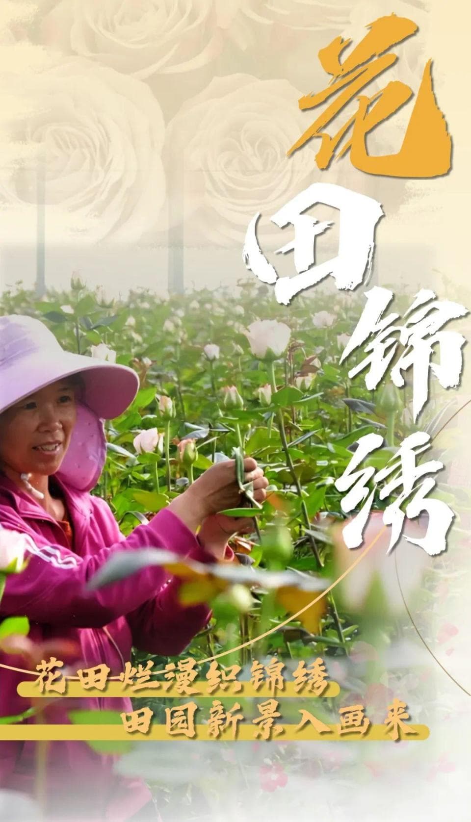 春天里的楚雄丨花田烂漫织锦绣，田园新景入画来