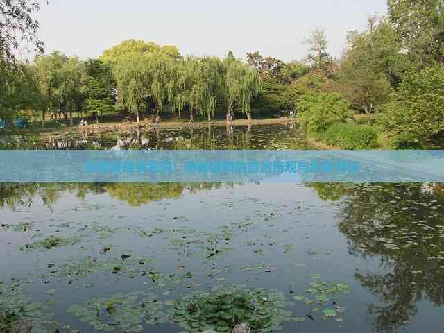 探索娄底黄龙洞：神秘溶洞的自然奇观与历史背景