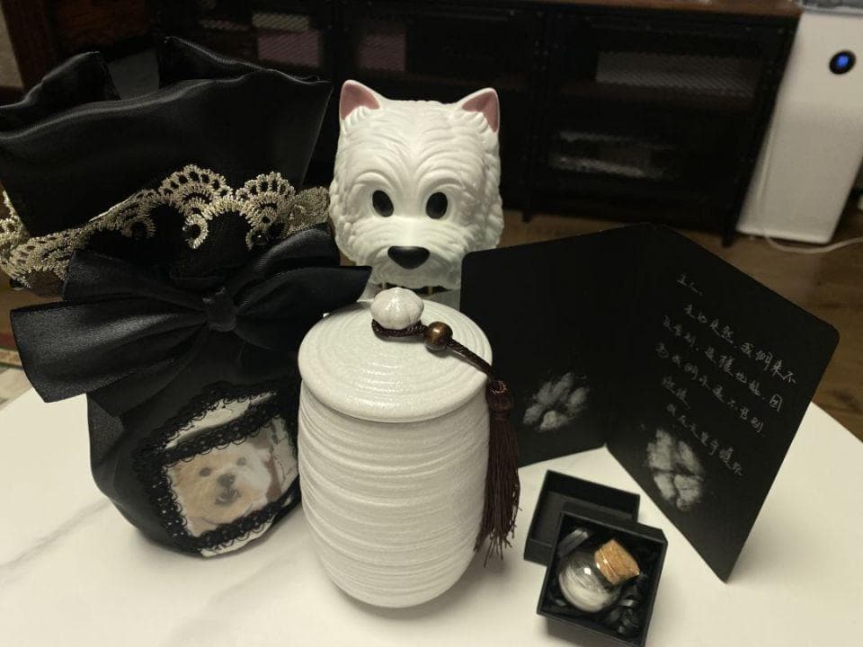北京宠物狗被投毒案：宠物如何定价，犬主能否诉精神赔偿