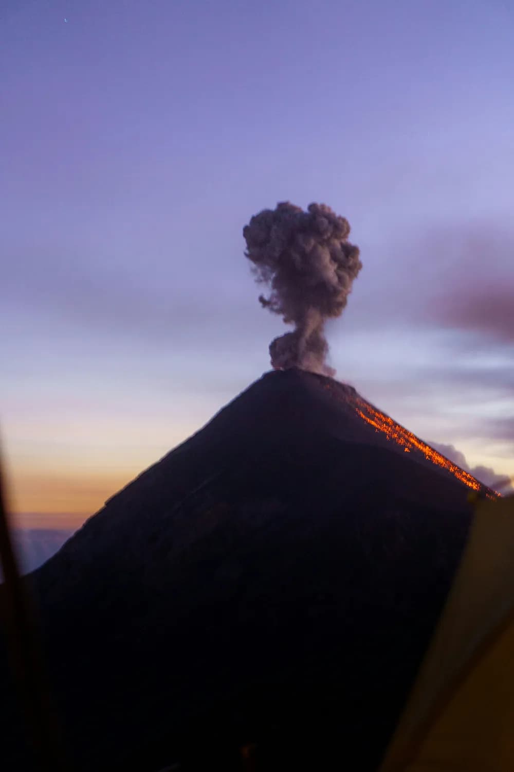 托巴火山爆发后，古人类如何幸存？