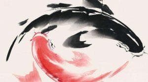 中医养生密码：阴阳