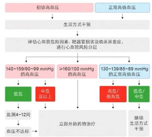 曾春雨教授：患高血压，既要抬头看路，又要埋头吃药