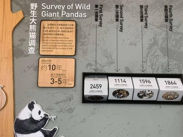 你不知道的冷知识｜野生大熊猫的“熊口普查”