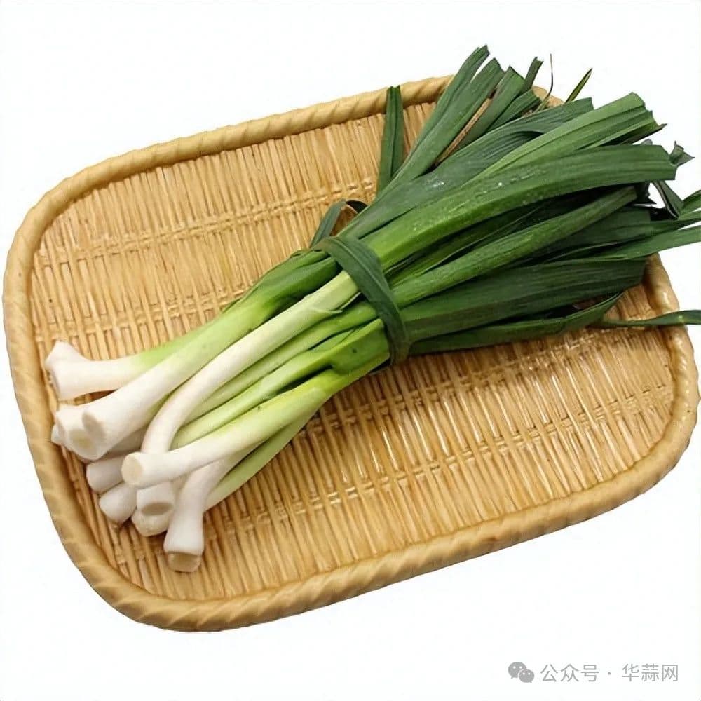 蒜苗是血糖“杀手”？高血糖患者必知的饮食指南