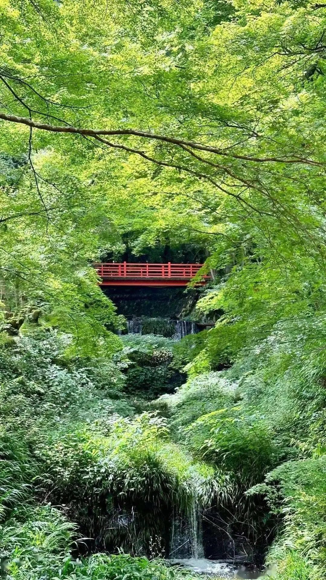 日本，回归全球最受欢迎的旅游目的地
