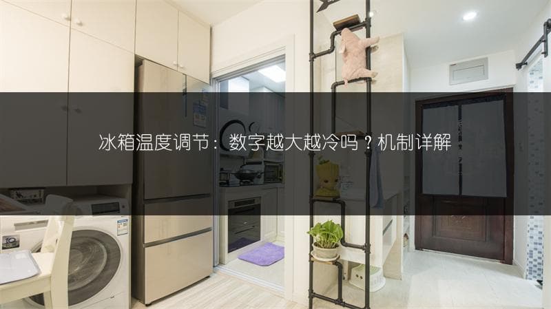 冰箱温度调节：数字越大越冷吗？机制详解