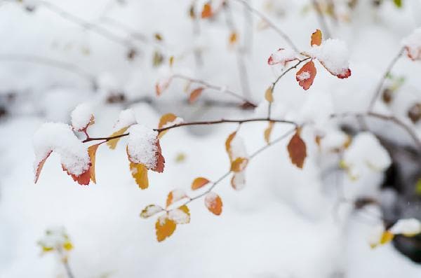 洗滑雪服用什么洗涤剂