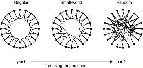 小世界网络（Small-World Networks）：结构特性与实际应用