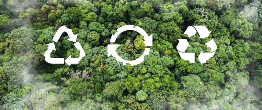 如何正确选择和使用生物降解塑料袋？