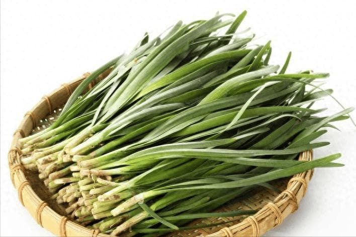 韭菜是胃癌“加速器”？医生坦言：为了胃健康，要少吃这4种食物