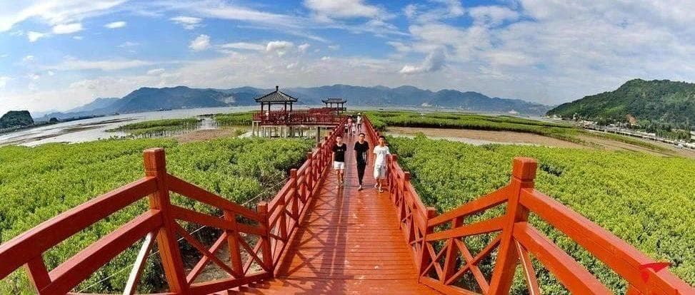 福建乡村振兴实操案例 │ 发展乡村特色产业