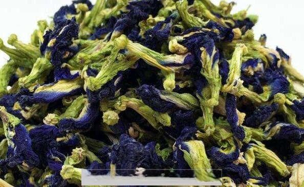蓝蝴蝶花茶的功效与禁忌 蓝蝴蝶花茶好喝吗
