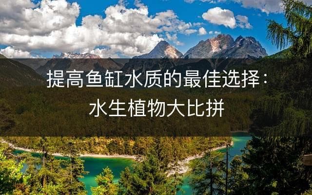 提高鱼缸水质的最佳选择：水生植物大比拼