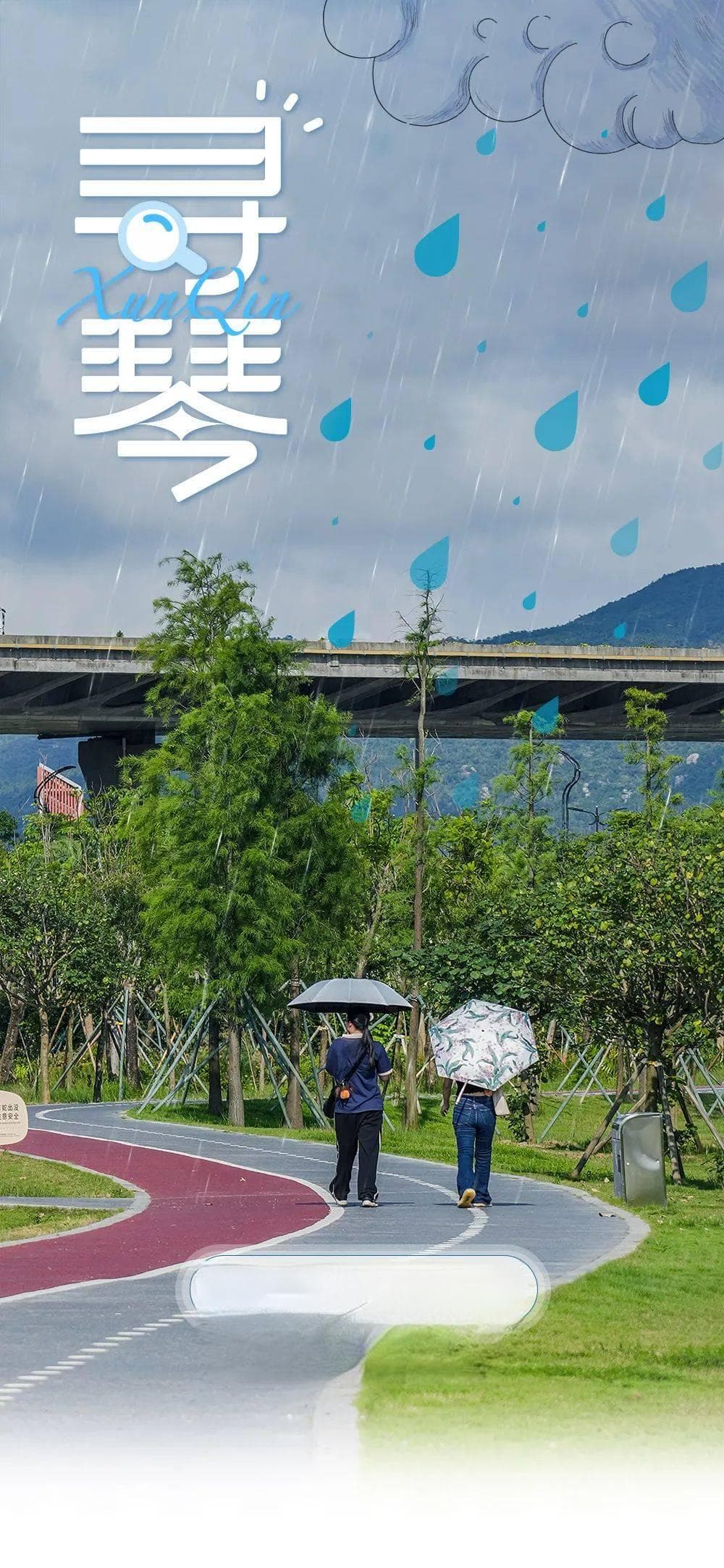 寻琴 | 开0.5倍速，在横琴国家湿地公园散散心