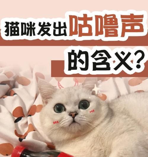 小猫为什么会发出咕噜咕噜的声音？（探究小猫发出咕噜咕噜声的原因及其舒适感）