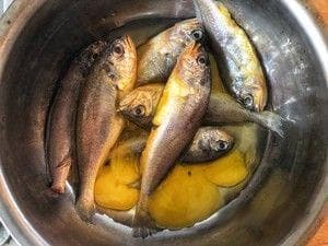 红烧小黄鱼