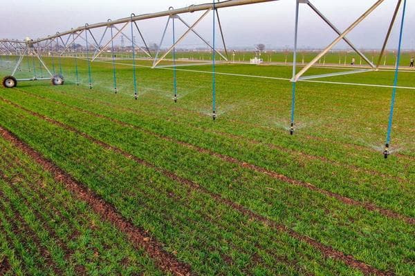 甲维虫酰肼适用范围：研究、应用与展望