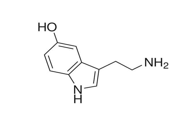 治疗肥胖与精神疾病的前沿靶点5-HT2C受体结构功能及相关实验介绍