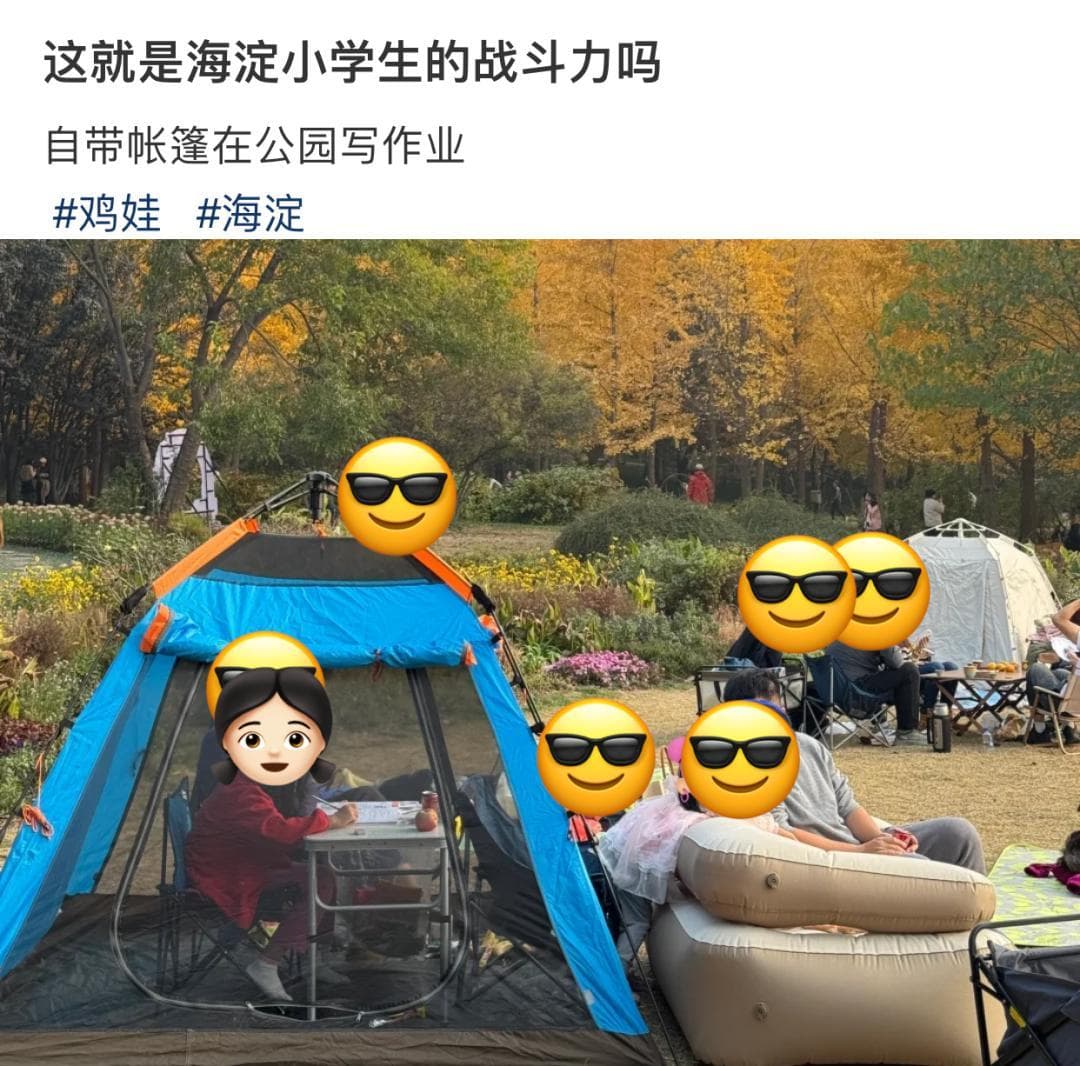 自律博主天花板：北京海淀小学生