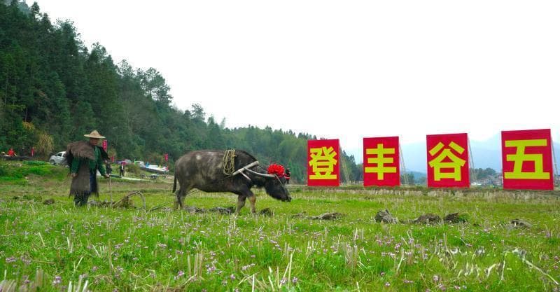 福建邵武举办第六届春社民俗文化旅游节，展现传统文化魅力